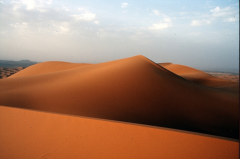 Sahara