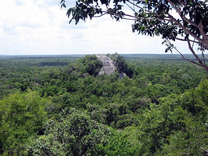 64Calakmul