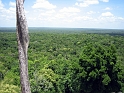 62Calakmul